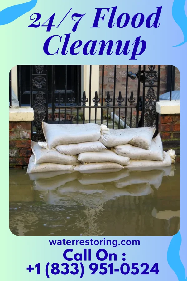 24/7 Flood Cleanup in Gulf Hills, MS