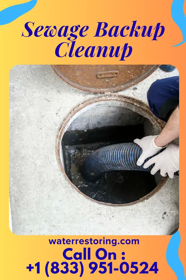 Sewage Backup Cleanup in Gulf Hills, MS