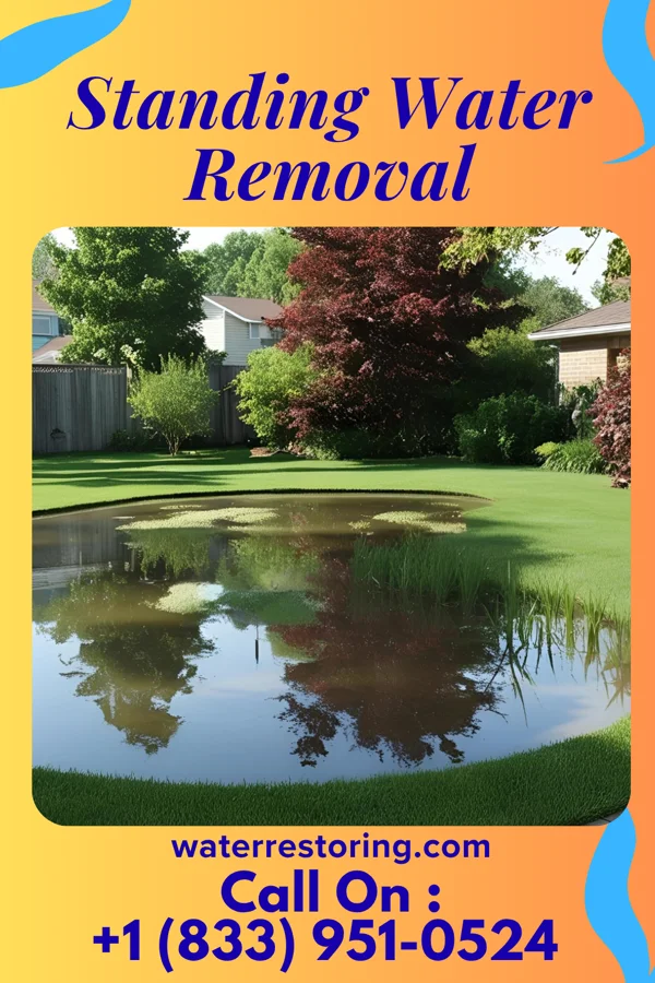 Standing Water Removal in Gulf Hills, MS